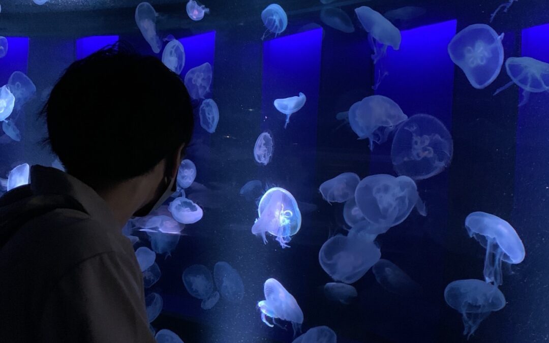 🐠水族館🐠